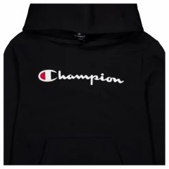 Champion Hooded Sweatshirt Black Beauty Svart Discount