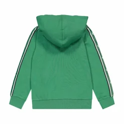 Champion Hooded Sweatshirt Foliage Green Grön Online