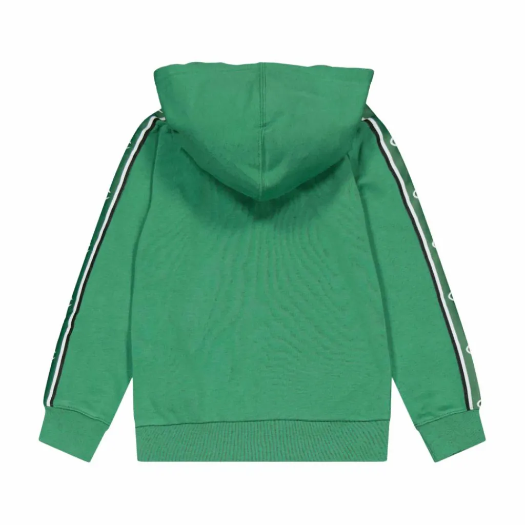 Champion Hooded Sweatshirt Foliage Green Grön Online
