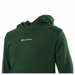 Champion Hooded Sweatshirt Junior Green Grön Online