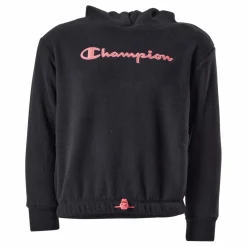 Hooded Sweatshirt Kk001*Champion Hot