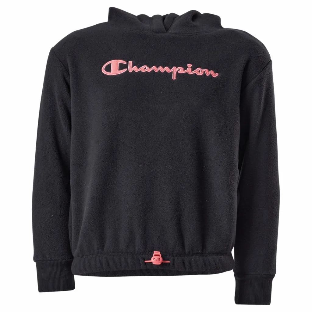 Hooded Sweatshirt Kk001*Champion Hot
