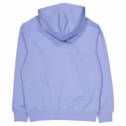 Champion Hooded Sweatshirt Pewter Blue Blå