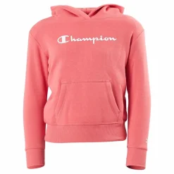 Hooded Sweatshirt Ps171*Champion Hot