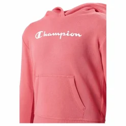 Hooded Sweatshirt Ps171*Champion Hot