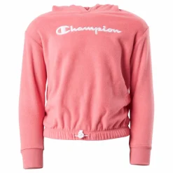 Hooded Sweatshirt Ps171*Champion Outlet