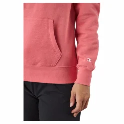 Hooded Sweatshirt Ps171*Champion Discount