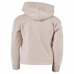 Hooded Sweatshirt Ps075*Champion Sale