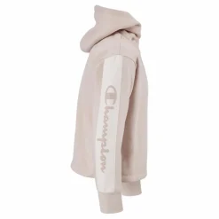 Hooded Sweatshirt Ps075*Champion Sale