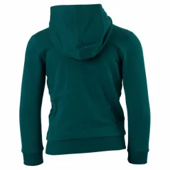 Hooded Sweatshirt Rain Forest*Champion Discount
