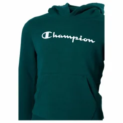 Hooded Sweatshirt Rain Forest*Champion Discount