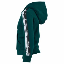 Hooded Sweatshirt Rain Forest*Champion Best