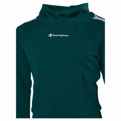 Hooded Sweatshirt Rain Forest*Champion Best