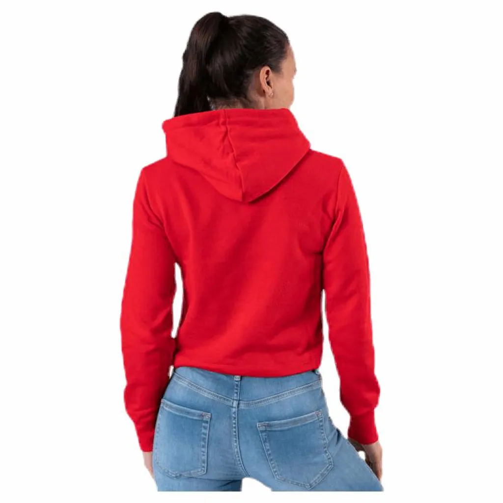 Hooded Sweatshirt Red*Champion Hot