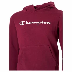 Hooded Sweatshirt Rhododendrow*Champion Discount
