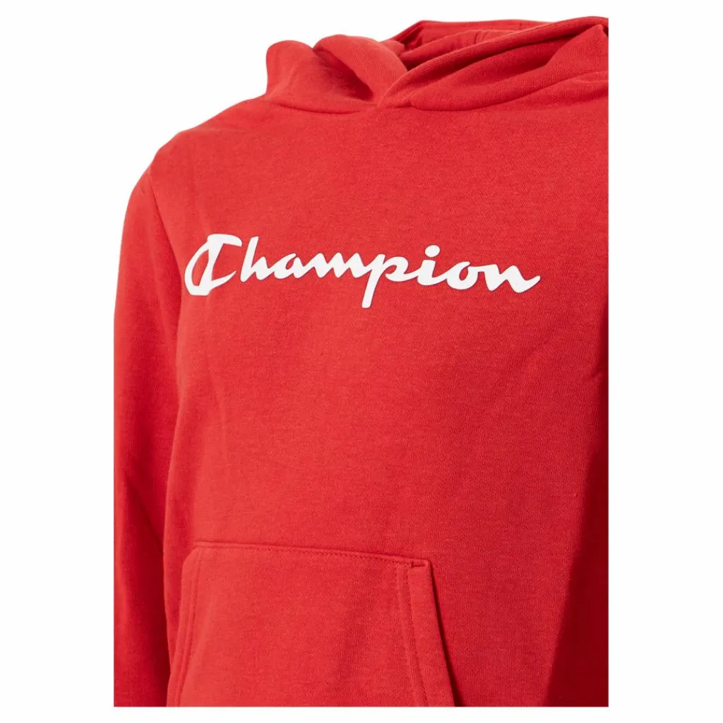 Hooded Sweatshirt Rs062*Champion Clearance