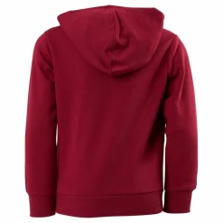 Champion Hooded Sweatshirt Rs506 Röd Outlet