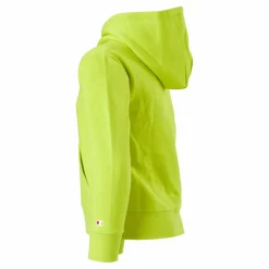 Champion Hooded Sweatshirt Sulphur Spring Grön New