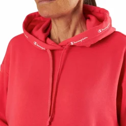 Hooded Sweatshirt Teaberry*Champion Online