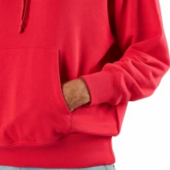 Hooded Sweatshirt Teaberry*Champion Online