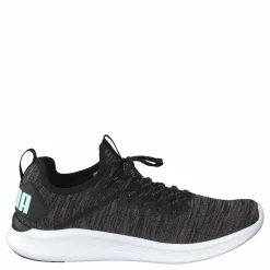 Puma Ignite Flash Evoknit Sr Wn's Black-charcoal Gray-aqua Svart Clearance