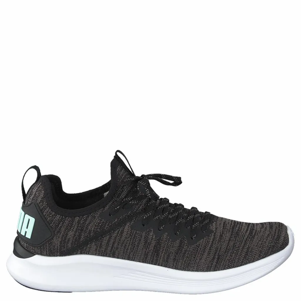 Puma Ignite Flash Evoknit Sr Wn's Black-charcoal Gray-aqua Svart Clearance