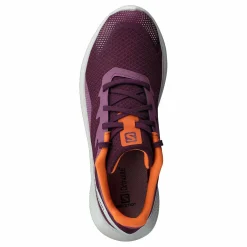 Salomon Impulse W Grape Wine/rainy Day/vibrant O Best