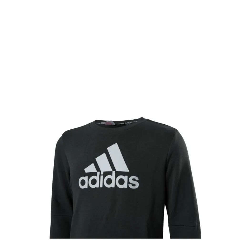 adidas Jb Mh Crew Legend Earth / Orbit Grey Lila Best