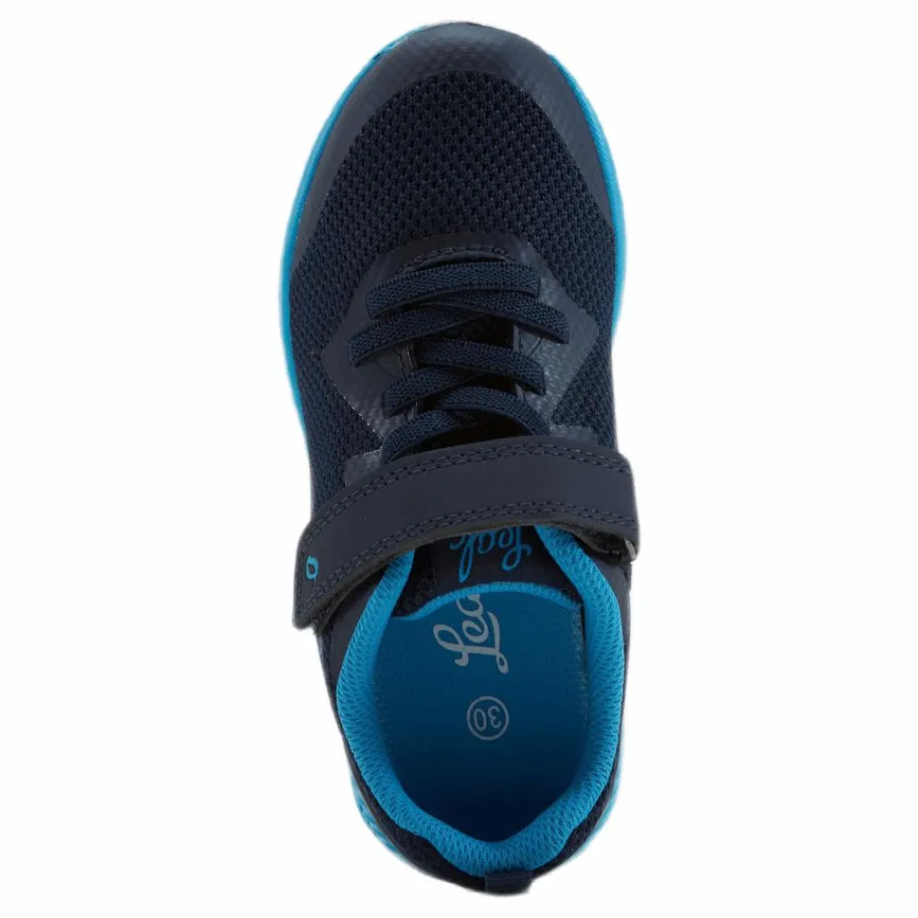 Kolima Elastic Blue*Leaf Online