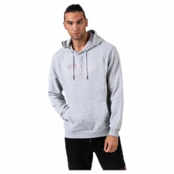 Laban Hoodie Grey*Fila