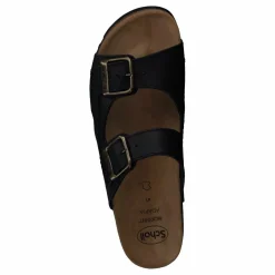 Moldava Black*Scholl Best
