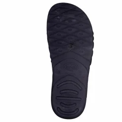 Nautilus*Scholl Outlet