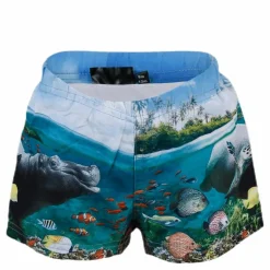 Newton Swim Diaper Blue*Molo Hot