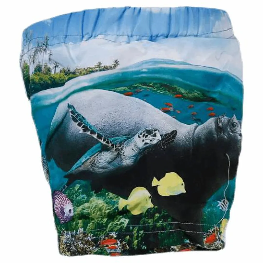 Newton Swim Diaper Blue*Molo Hot