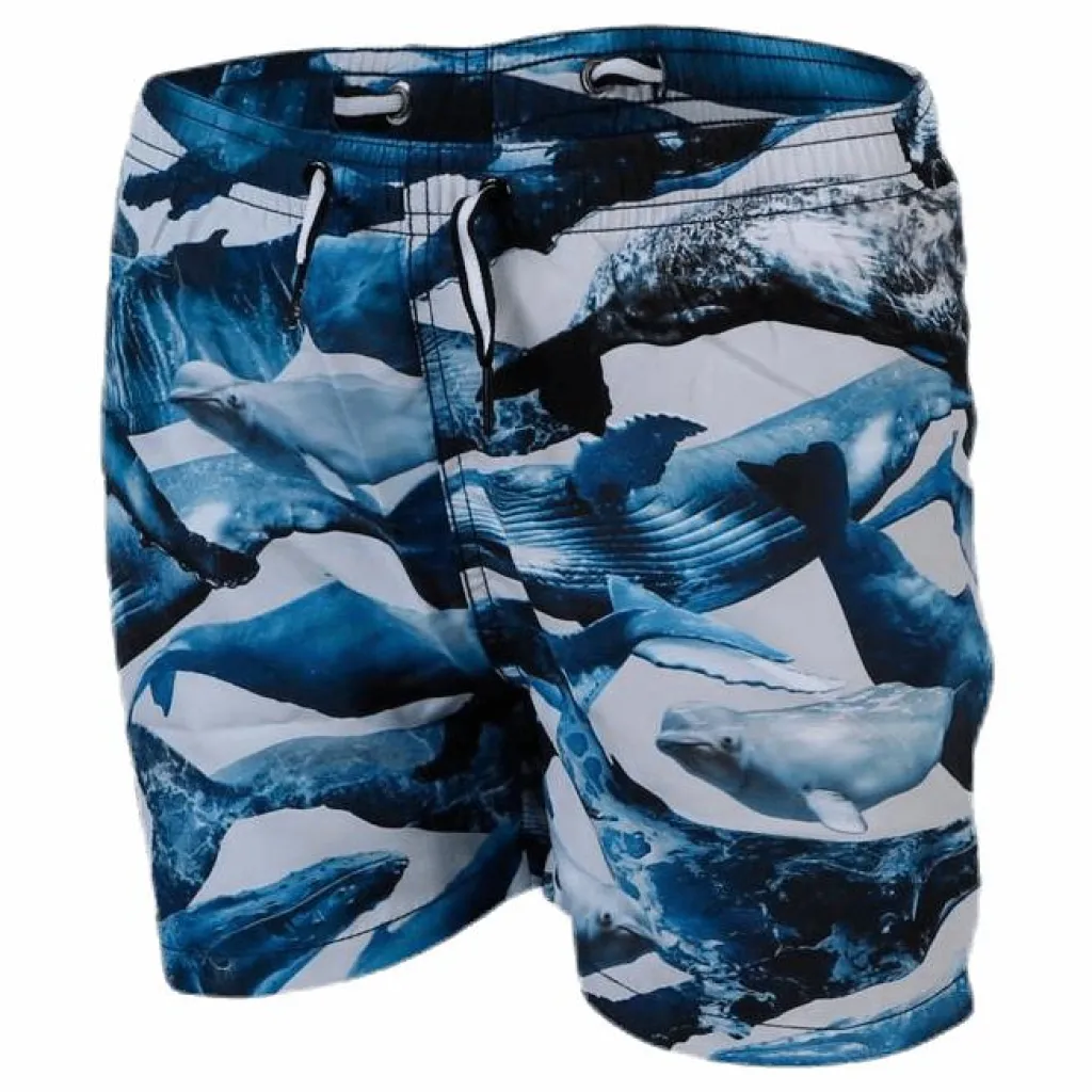 Molo Niko Swim Shorts Blue Blå Discount