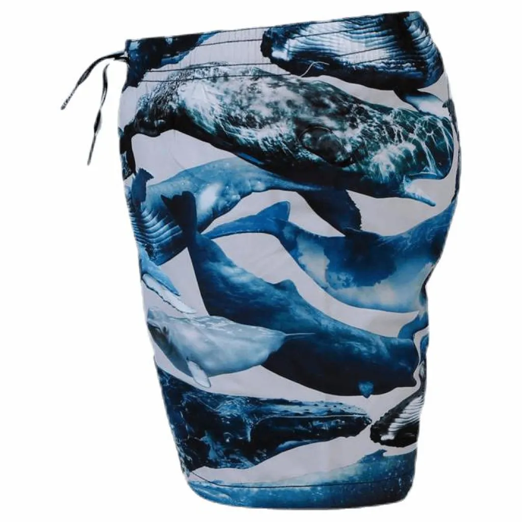 Molo Niko Swim Shorts Blue Blå Discount