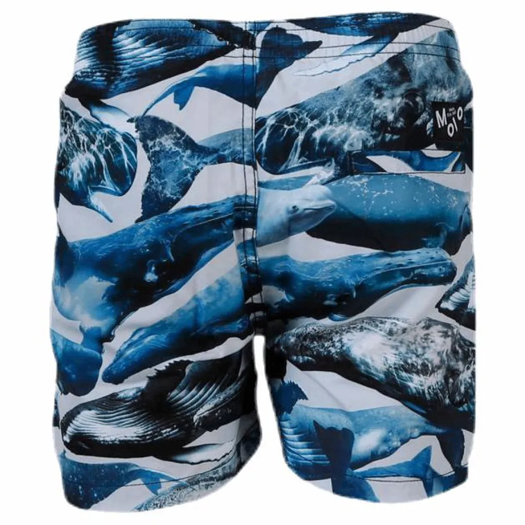 Molo Niko Swim Shorts Blue Blå Discount