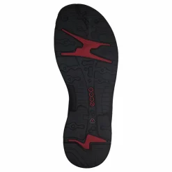 Offroad Atmosphere/ Ice W./ Black*ECCO