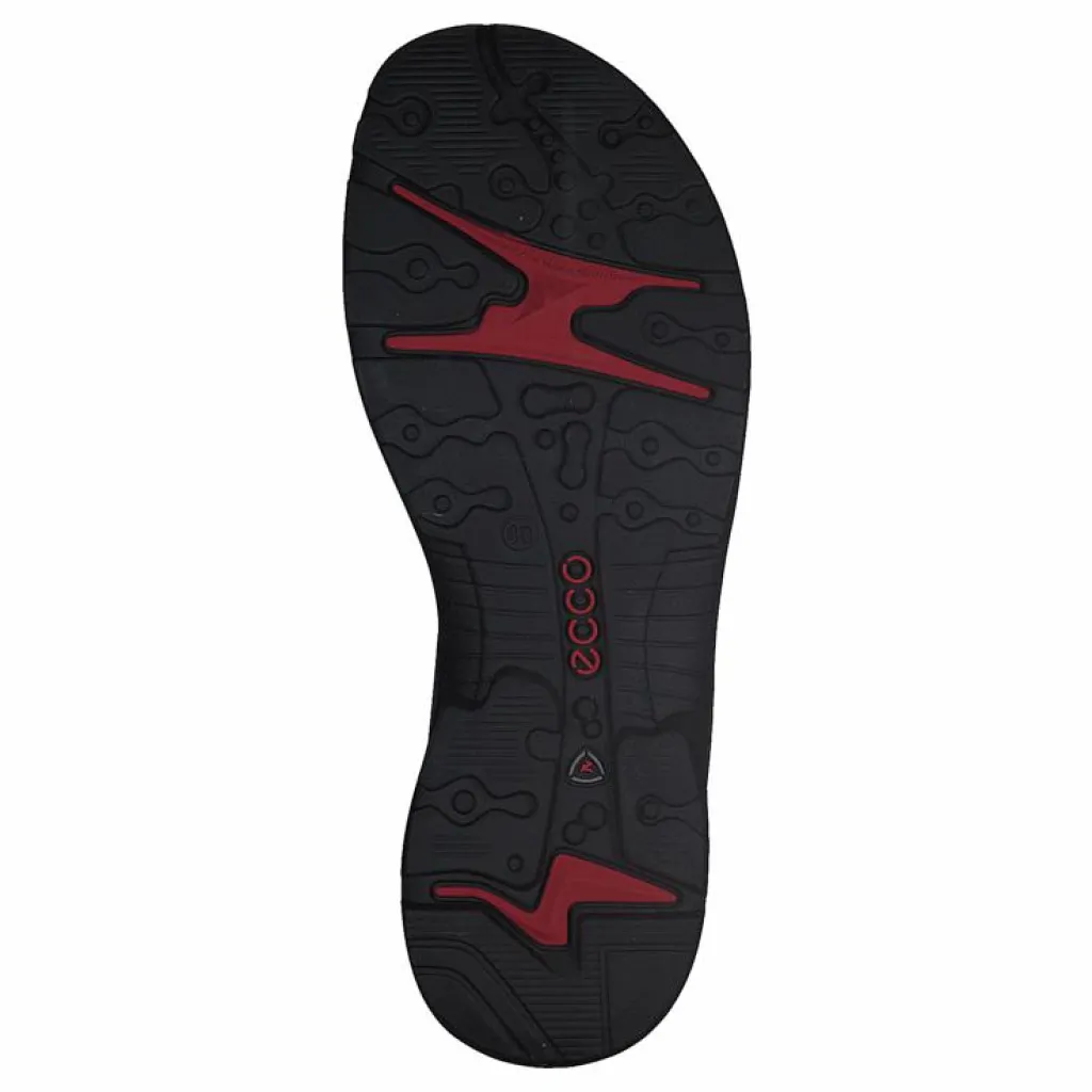Offroad Atmosphere/ Ice W./ Black*ECCO