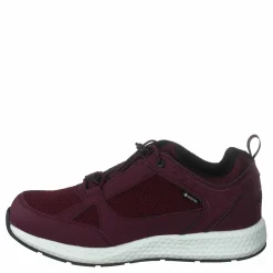 Orbit Smooth Gtx Bordo*Polecat