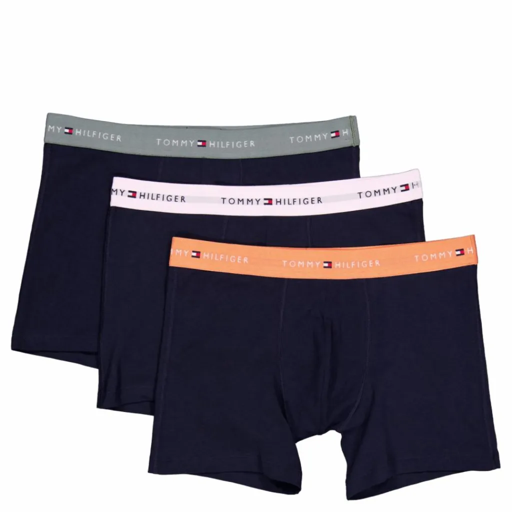 Tommy Hilfiger 3p Boxer Brief Blå Online