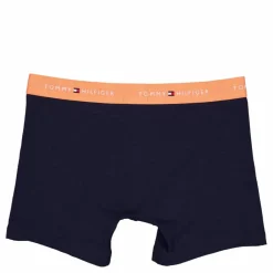 Tommy Hilfiger 3p Boxer Brief Blå Online