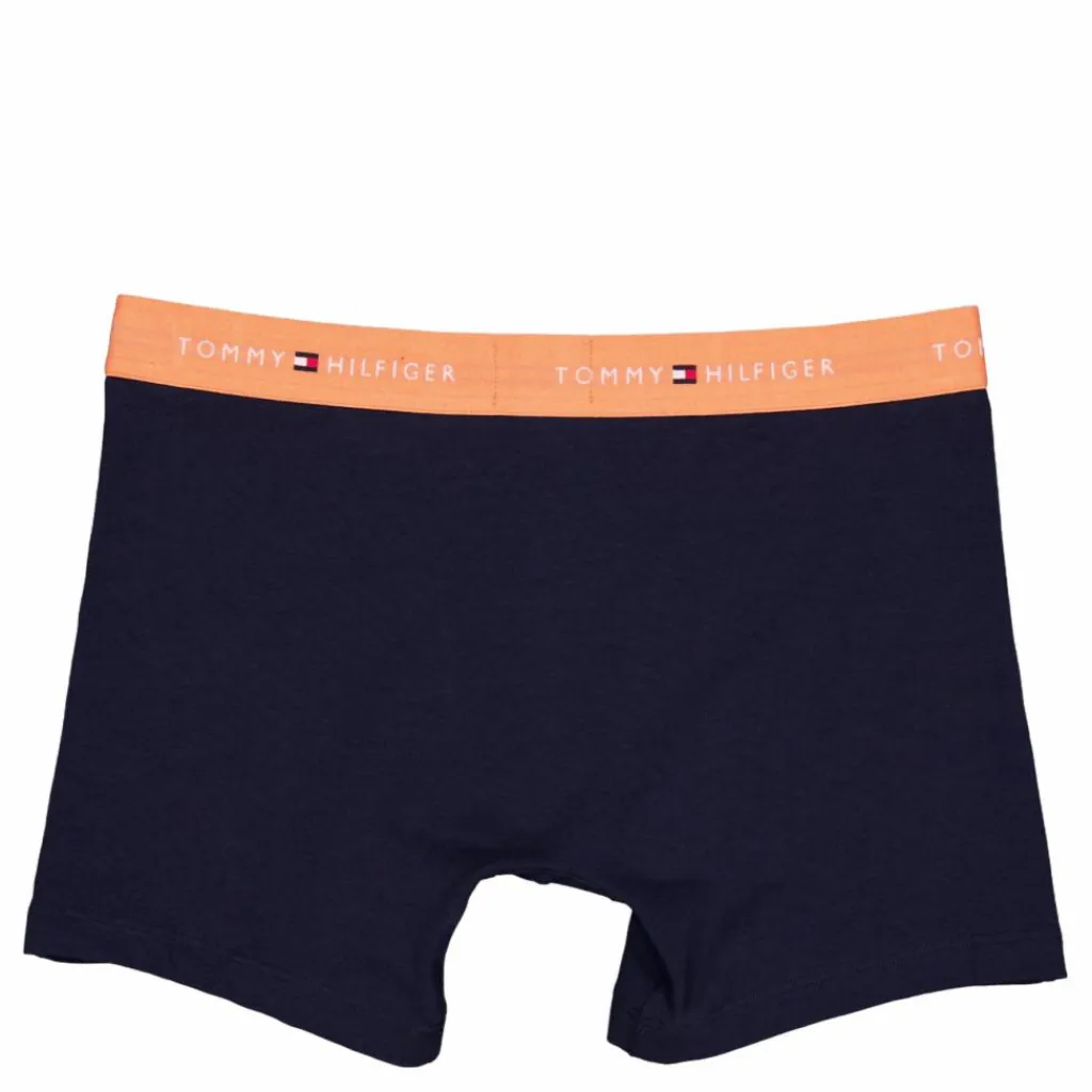 Tommy Hilfiger 3p Boxer Brief Blå Online
