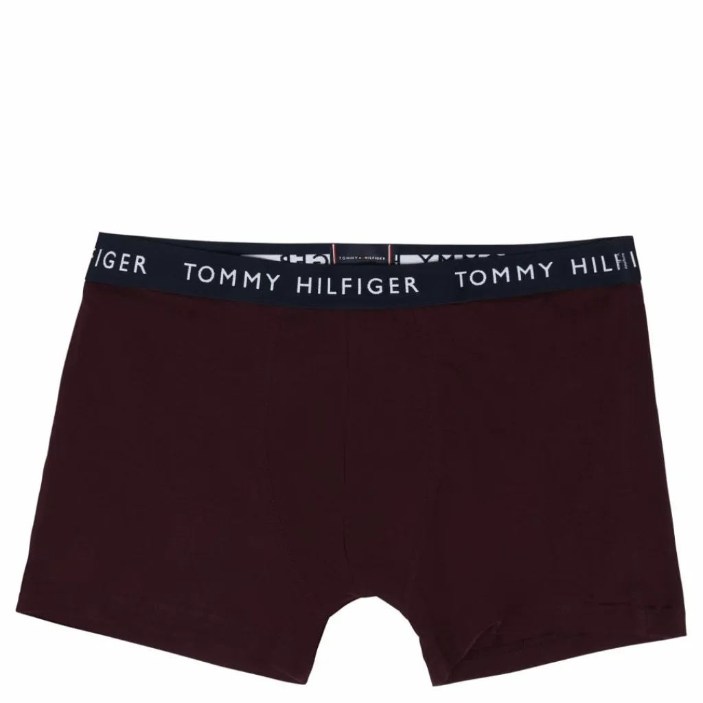 Tommy Hilfiger 3p Trunk 0uj - Des Skyhunterdeep Burg Röd, Blå och Grön Online