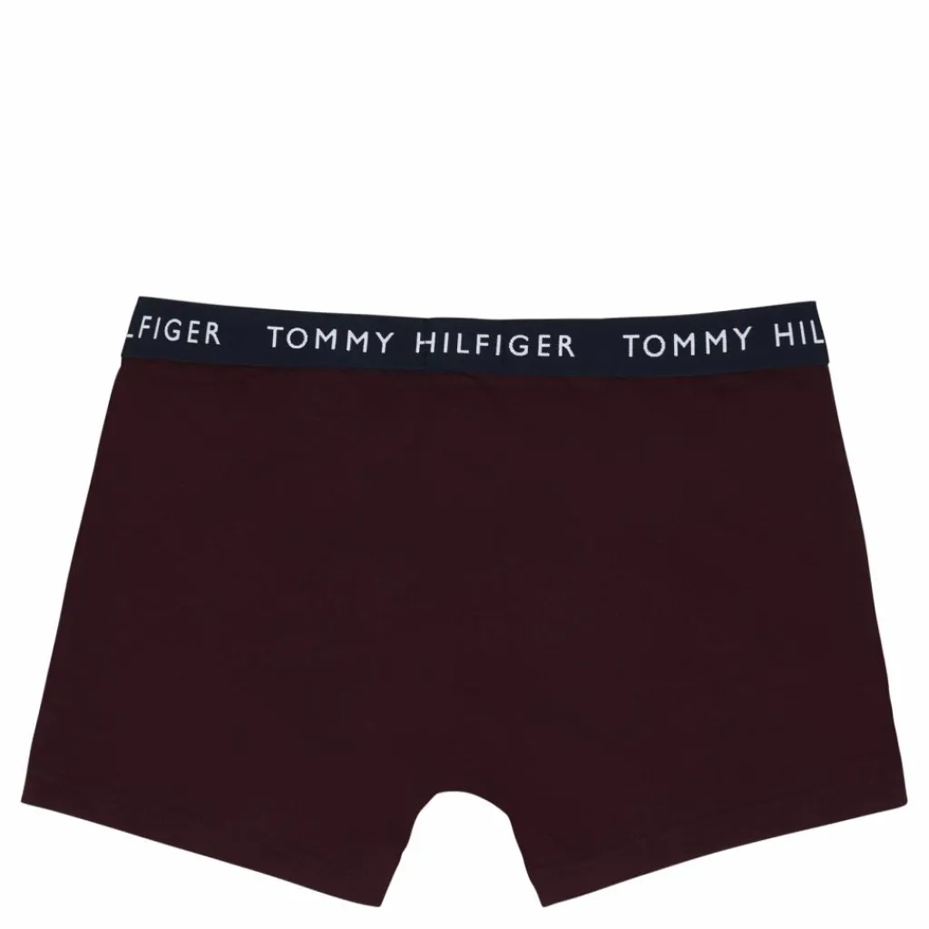Tommy Hilfiger 3p Trunk 0uj - Des Skyhunterdeep Burg Röd, Blå och Grön Online