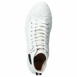 Palla Ace Cvs Mid Star White*Palladium New