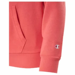 Champion Pastel Hooded Sweatshirt Junior Red Röd Online