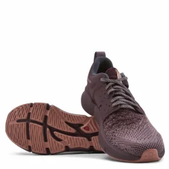 Predict Soc Grey*Salomon Sale