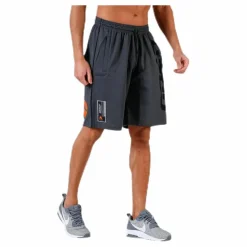 Pro mesh shorts Grey*GASP Best