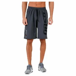 Pro mesh shorts Grey*GASP Best